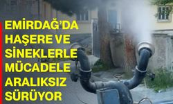 Emirdağ’da haşere ve sineklerle mücadele aralıksız sürüyor