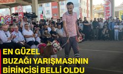 En güzel buzağı yarışmasının birincisi belli oldu