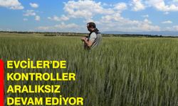 Evciler’de kontroller aralıksız devam ediyor