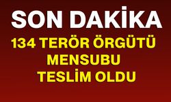 134 Terör Örgütü Mensubu İkna Yoluyla Teslim Oldu