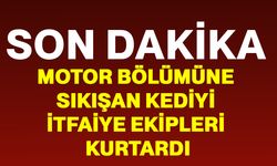 Motor bölümüne sıkışan kediyi itfaiye ekipleri kurtardı