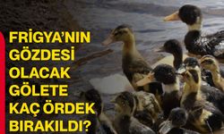 Frigya’nın gözdesi olacak gölete kaç ördek bırakıldı?