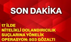 17 ilde nitelikli dolandırıcılık suçlarına yönelik operasyon: 503 gözaltı