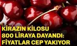 Kirazın kilosu 800 liraya dayandı: Fiyatlar cep yakıyor