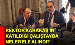 Rektör Karakaş’ın katıldığı çalıştayda neler ele alındı?