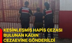 Kesinleşmiş hapis cezası bulunan kadın cezaevine gönderildi