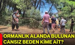 Ormanlık alanda bulunan cansız beden kime ait?