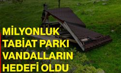 Milyonluk tabiat parkı vandalların hedefi oldu
