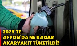2025'te Afyonkarahisar'da ne kadar akaryakıt tüketildi?
