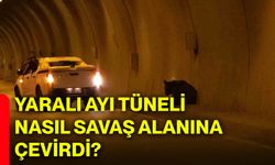 Yaralı ayı tüneli nasıl savaş alanına çevirdi?