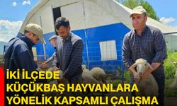 İki ilçede küçükbaş hayvanlara yönelik kapsamlı çalışma