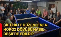 Çiftlikte düzenlenen horoz dövüşü nasıl deşifre edildi?