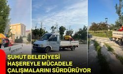 Şuhut Belediyesi haşereyle mücadele çalışmalarını sürdürüyor