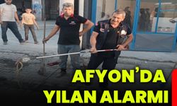 Afyon’da yılan alarmı