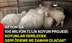 Afyon’da 100 Milyon TL’lik koyun projesi: Koyunlar verilecek, geri ödeme ne zaman olacak?