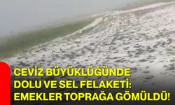 Ceviz büyüklüğünde dolu ve sel felaketi: Emekler toprağa gömüldü!