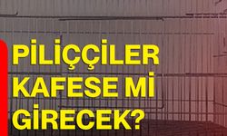 Piliççiler kafese mi girecek?