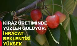 Kiraz üretiminde yüzler gülüyor: İhracat beklentisi yüksek