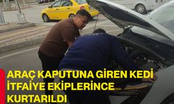Araç kaputuna giren kedi itfaiye ekiplerince kurtarıldı
