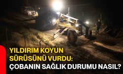 Yıldırım koyun sürüsünü vurdu: Çobanın sağlık durumu nasıl?