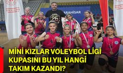 Mini Kızlar Voleybol Ligi Kupasını bu yıl hangi takım kazandı?