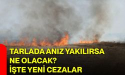 Tarlada anız yakılırsa ne olacak? İşte yeni cezalar