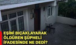 Eşini bıçaklayarak öldüren şüpheli ifadesinde ne dedi?