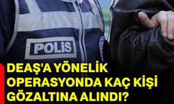 DEAŞ'a yönelik operasyonda kaç kişi gözaltına alındı?