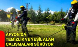 Afyon’da temizlik ve yeşil alan çalışmaları sürüyor