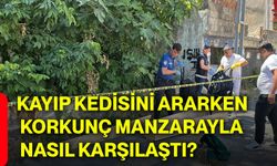 Kayıp kedisini ararken korkunç manzarayla nasıl karşılaştı?
