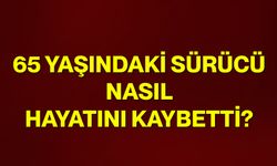 65 yaşındaki sürücü nasıl hayatını kaybetti?