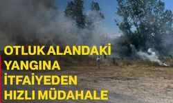 Otluk alandaki yangına itfaiyeden hızlı müdahale