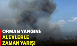 Orman yangını: Alevlerle zaman yarışı