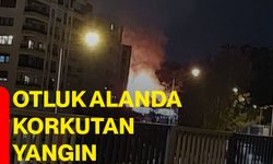 Otluk alanda korkutan yangın
