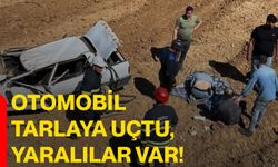 Otomobil tarlaya uçtu, yaralılar var!