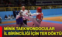 Minik taekwondocular il birinciliği için ter döktü