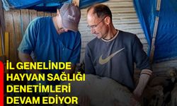 İl genelinde hayvan sağlığı denetimleri devam ediyor