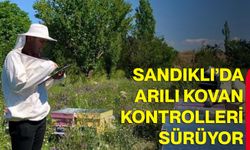 Sandıklı’da arılı kovan kontrolleri sürüyor