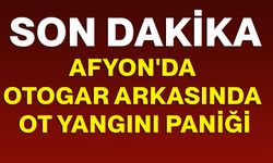 Afyonkarahisar'da otogar arkasında ot yangını paniği