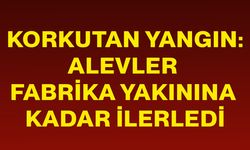 Korkutan yangın: Alevler fabrika yakınına kadar ilerledi
