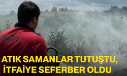 Atık samanlar tutuştu, itfaiye seferber oldu
