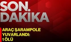 Araç şarampole yuvarlandı: 1 ölü