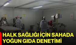 Halk sağlığı için sahada yoğun gıda denetimi