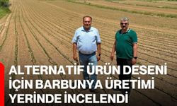 Alternatif ürün deseni için barbunya üretimi yerinde incelendi