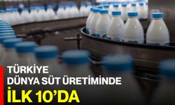 Türkiye Dünya Süt Üretiminde İlk 10’da