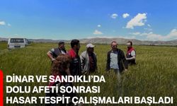 Dinar ve Sandıklı’da dolu afeti sonrası hasar tespit çalışmaları başladı
