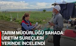 Tarım Müdürlüğü Sahada: Üretim süreçleri yerinde incelendi
