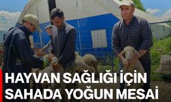 Hayvan Sağlığı için sahada yoğun mesai