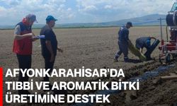 Afyonkarahisar'da tıbbi ve aromatik bitki üretimine destek