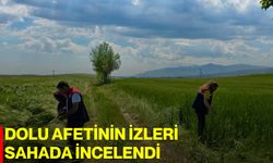 Dolu afetinin izleri sahada incelendi
